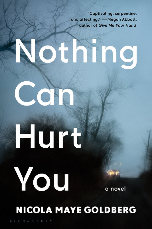 Nothing Can Hurt You Novel by Nicola Maye Goldberg - Download Delight