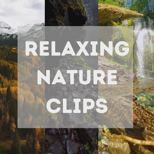 Relaxing Nature Clip Videos for Social Media: Instagram, YouTube, Tik Tok